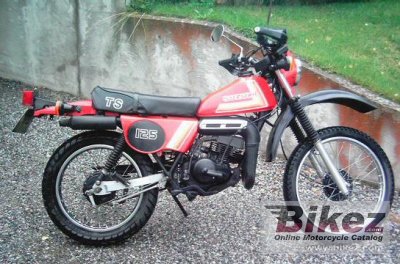 1980 Suzuki TS 125 ER photo